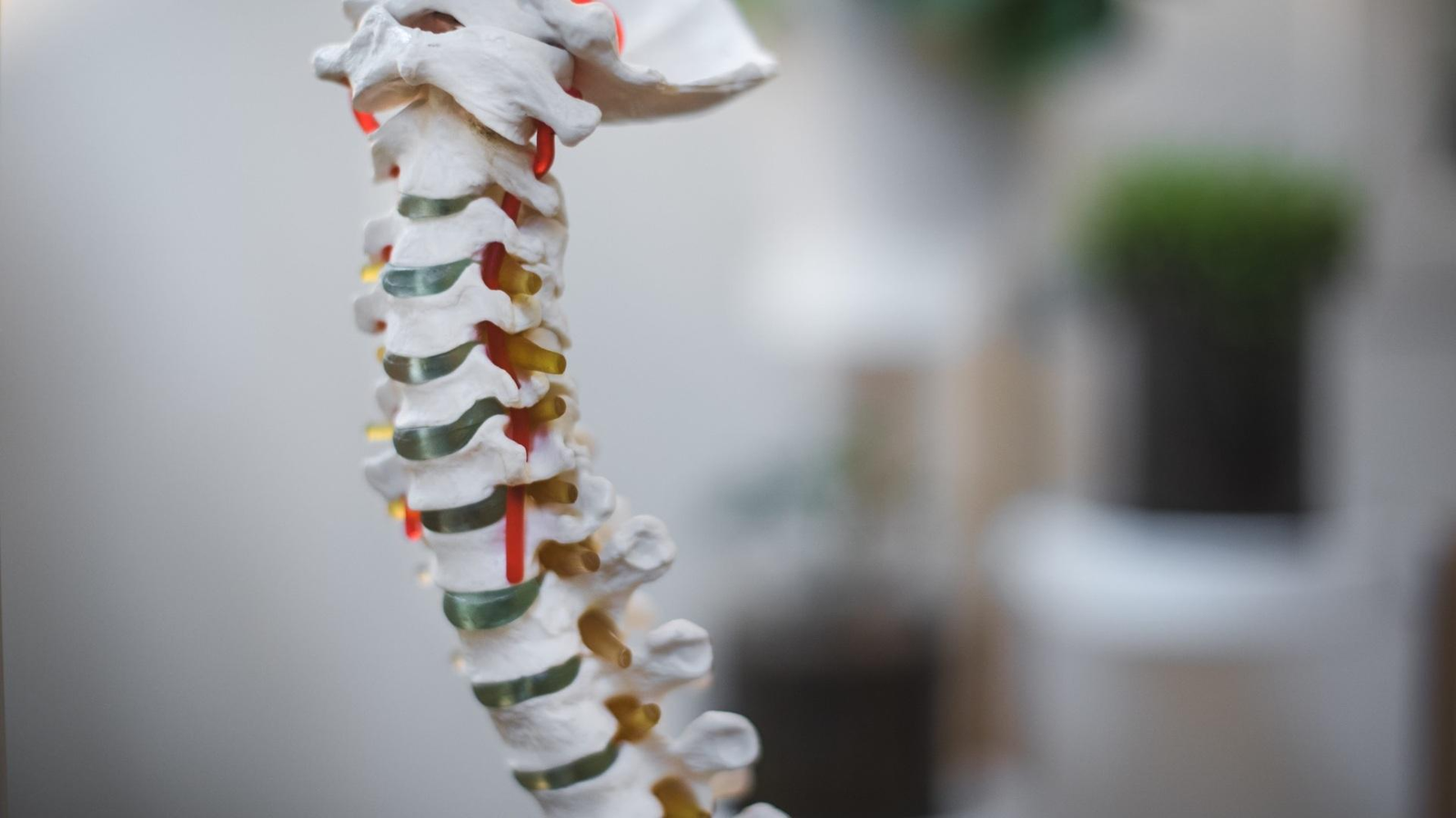 Why Back and Neck Pain Are So Common in Dubai