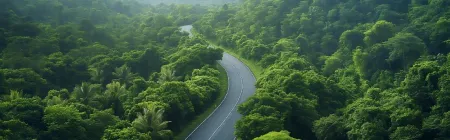 Ooty Kodaikanal Tour Packages