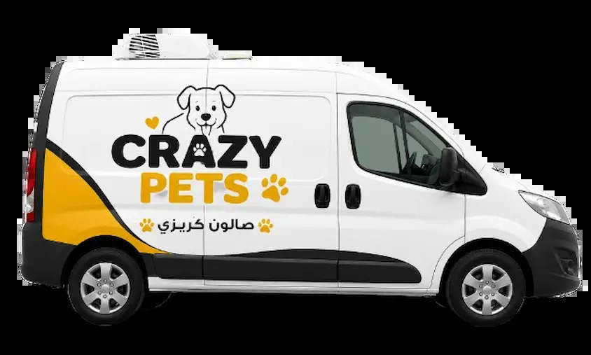 Crazy Pets