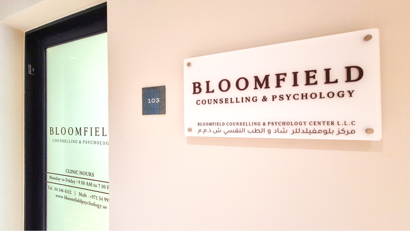 Bloomfield Psychology