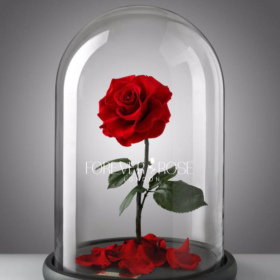 Forever Rose London - Best Florist in Dubai logo