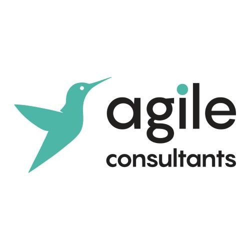 Agile Consultants