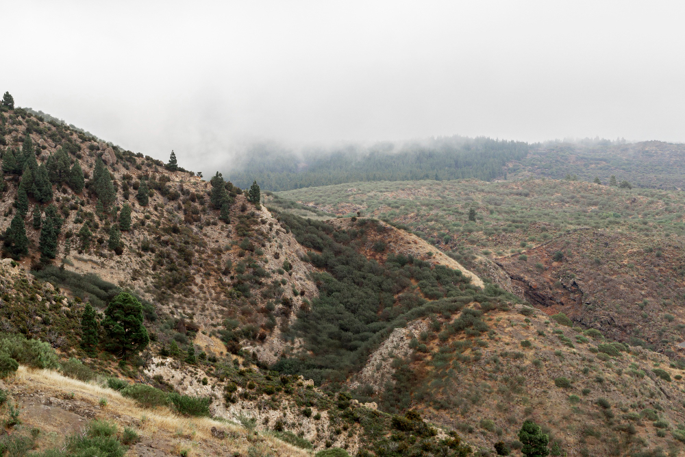 UAE Travellers Eye Salalah, Bhutan and Jebel Akhdar for August Long Weekend Getaways