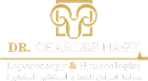 Dr Charles Nagy - Gynecologist in Dubai | Fertility Doctor | Endometriosis Treatment in Dubai | Fibroid Treatment in Dubai logo