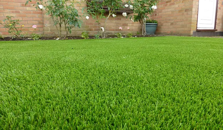 Grass Carpet