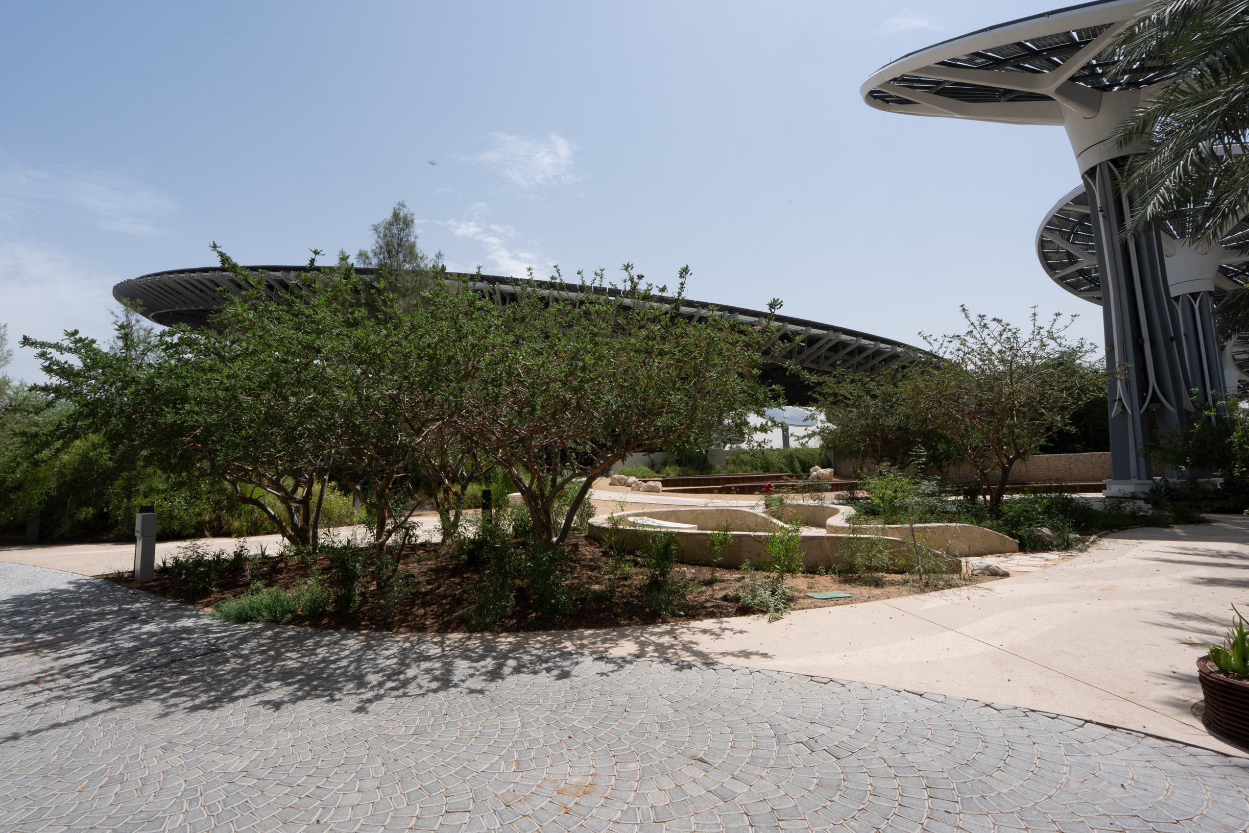 Expo City Dubai’s Mini Forest Emerges as Global Model for Urban Resilience and Biodiversity